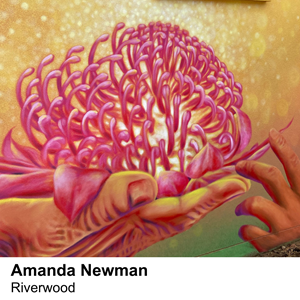 Amanda Newman mural a painting of a waratah flower